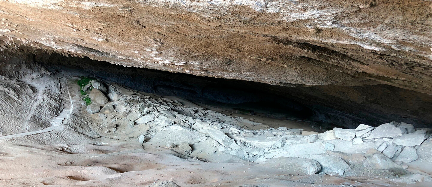 Milodon-5