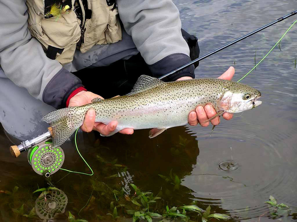 fly fishing 01
