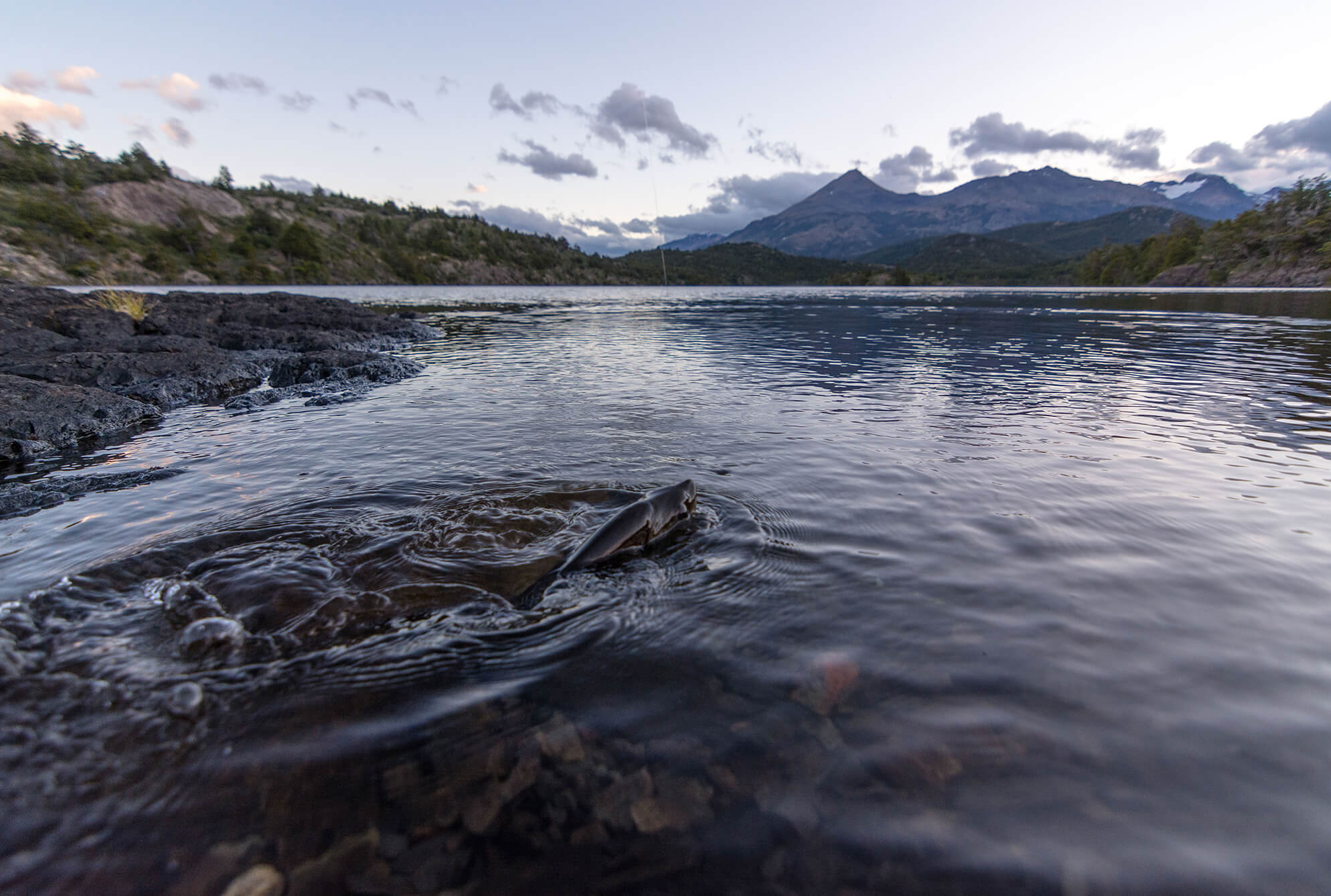 fly fishing 03