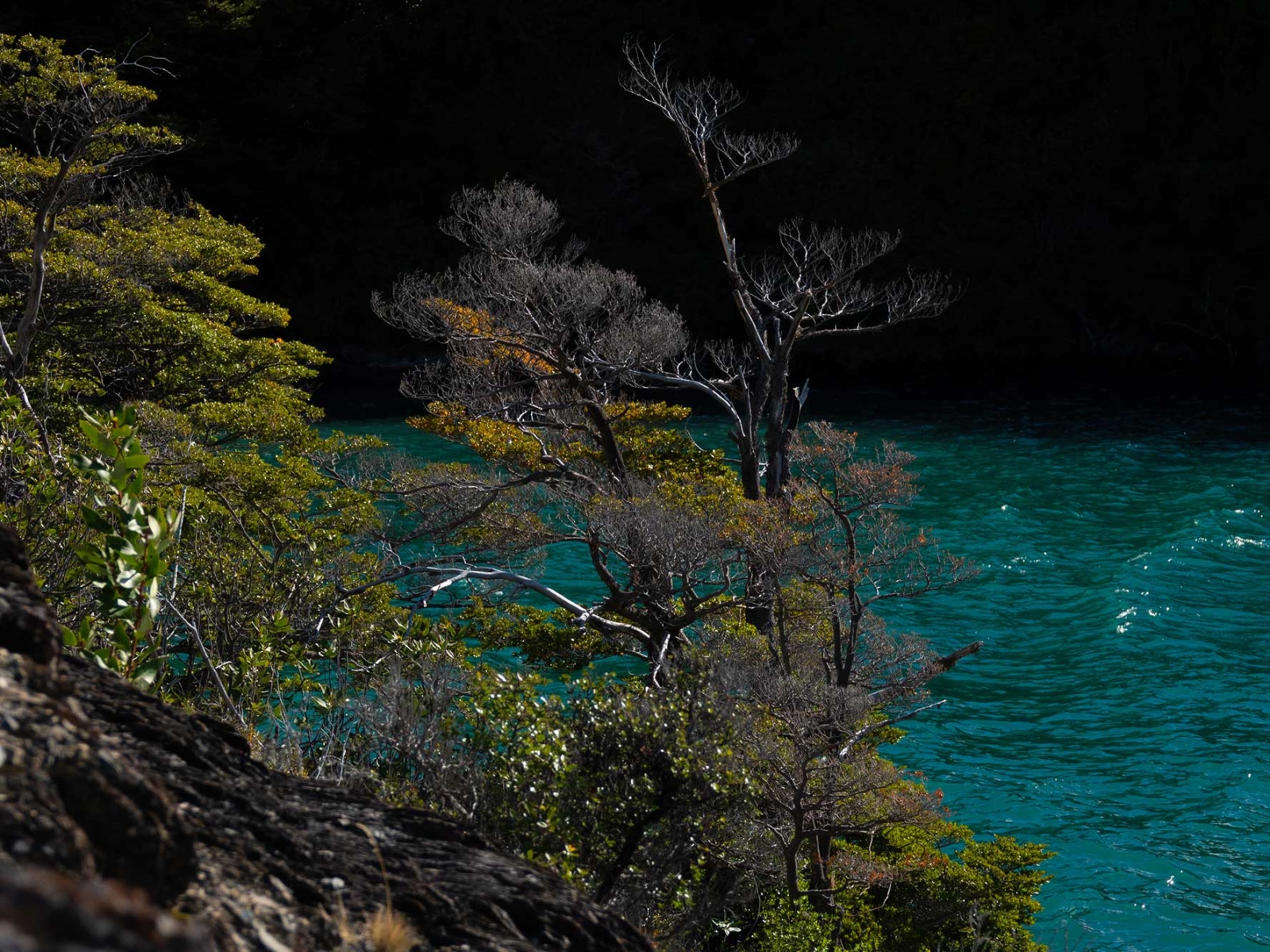 BAHIA-TRUCHA-08