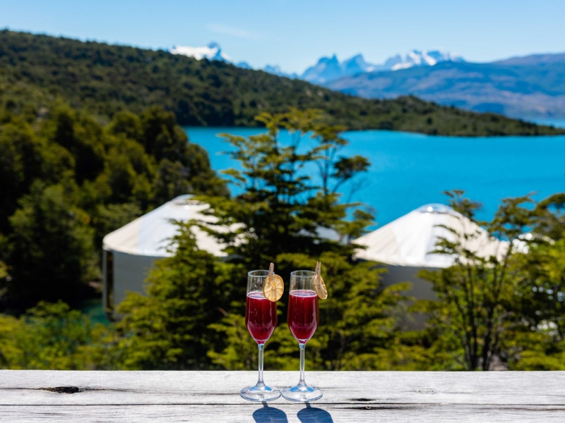 Calafate-Sour